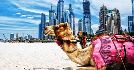 Visa du lịch Dubai từ Hà Nội